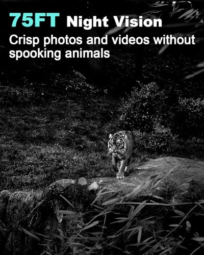 Trail Camera - 18 megapixel