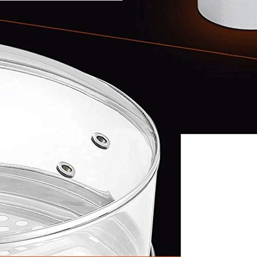 Smart Electric Steamer