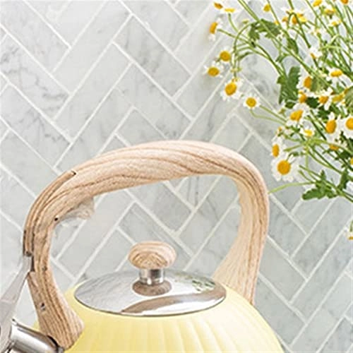 Kettle - food-grade stainless steel