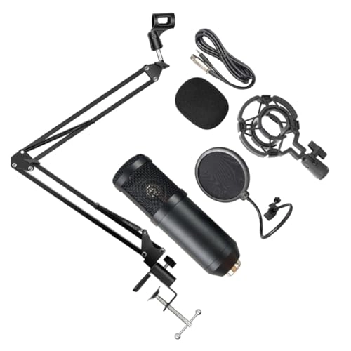 Multipurpose Wireless Microphone