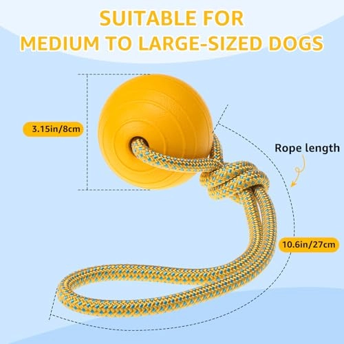 Dog Pool Float