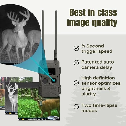 TRACKS - LTC-3A Black Flash Cell