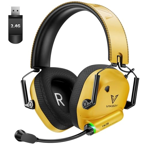 HW20 Wireless Headset
