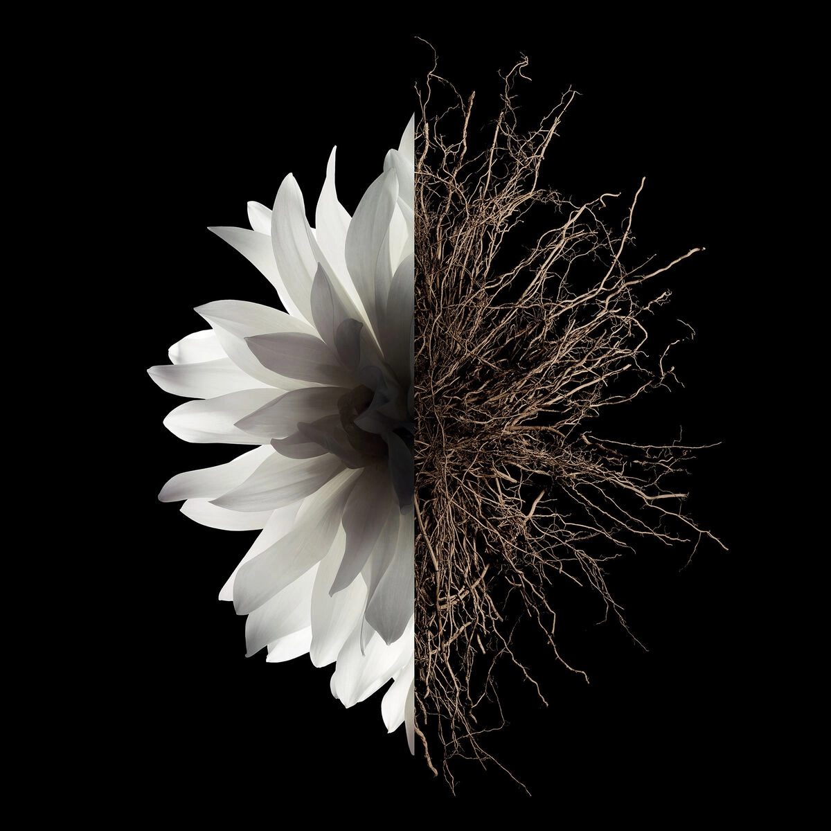 L'INTERDIT Eau de Parfum 50 ml