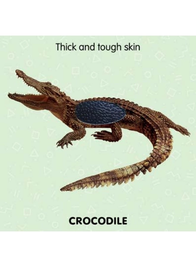 Touch and Feel - Jungle Animals (Book 2)