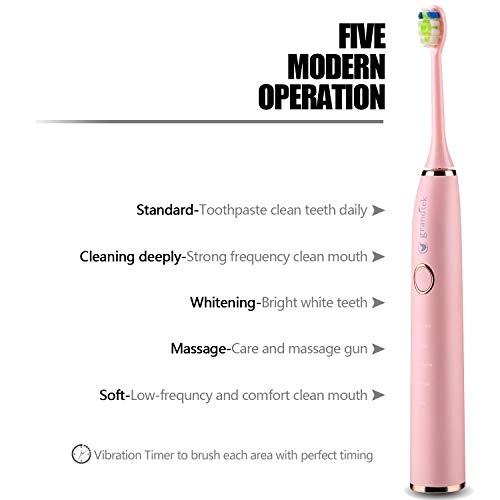 Sonic Electric Toothbrush - USB Rechargeable 5 Modes IPX8 Waterproof