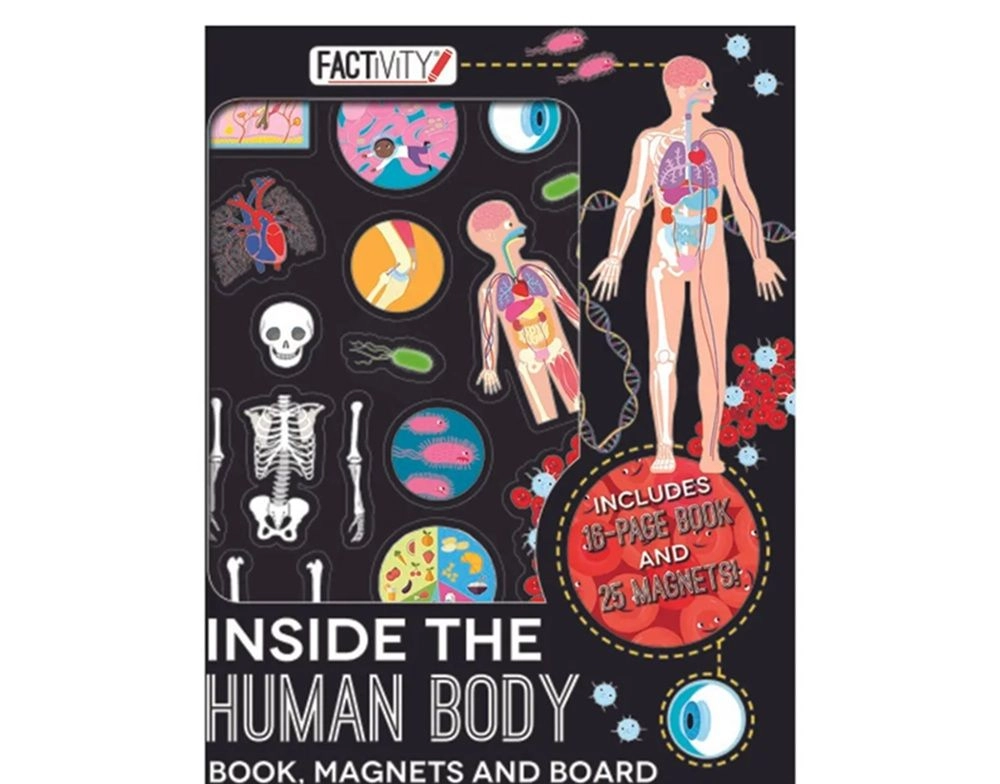 Edu Fun Factivity Human Body Magnetic Folder - 3 +