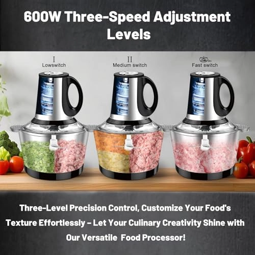 600w chopper - 230 Volts (AC)