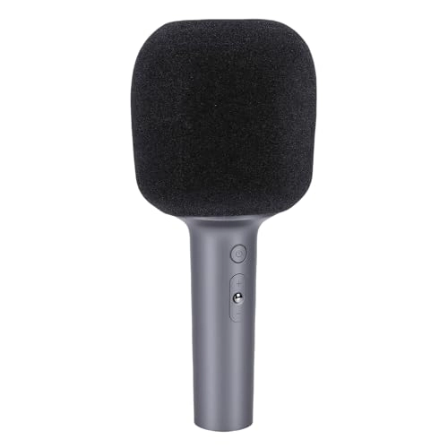 Wireless Microphone - 1 10W