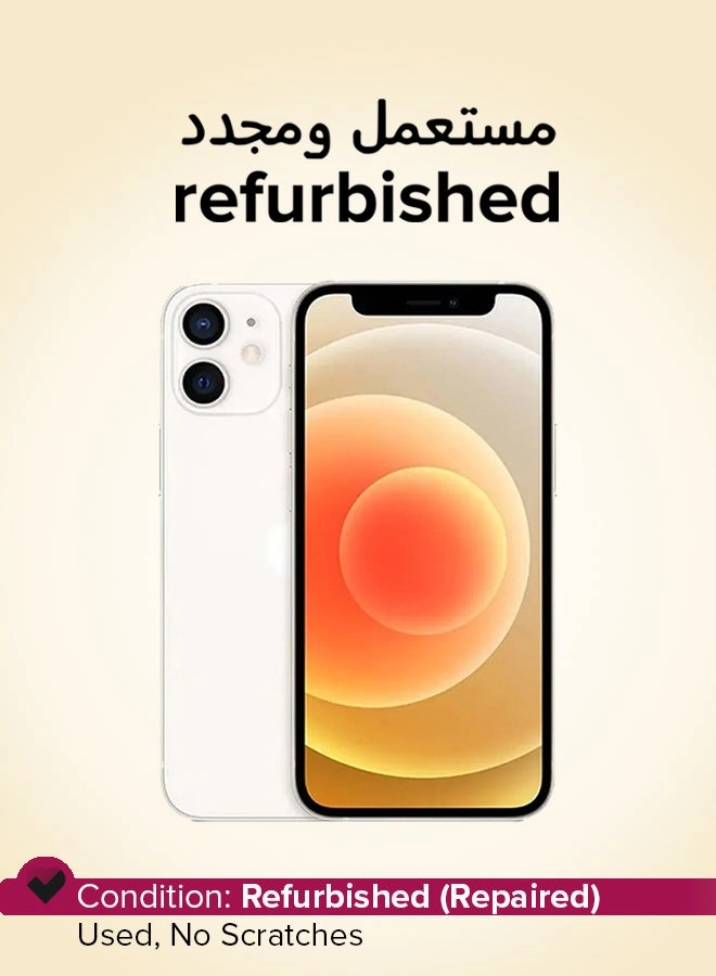 iPhone 12 mini - 256GB