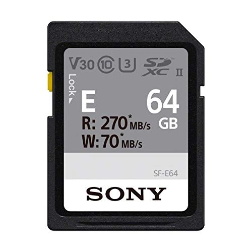 SF-E Series - 64GB