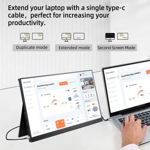 Portable Monitor - FHD 1080P 14 Inch