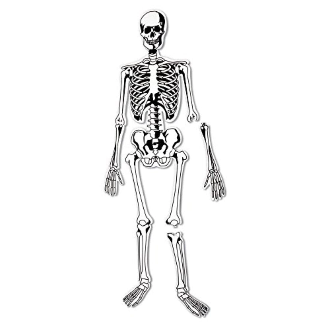 Skeleton Foam Floor Puzzle - 5+ Years 15 piece(s)