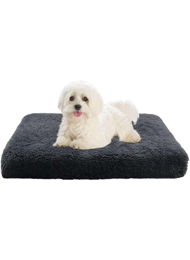 DELIFUR Washable Small Dog Bed - 75L* 50W * 8TH CM