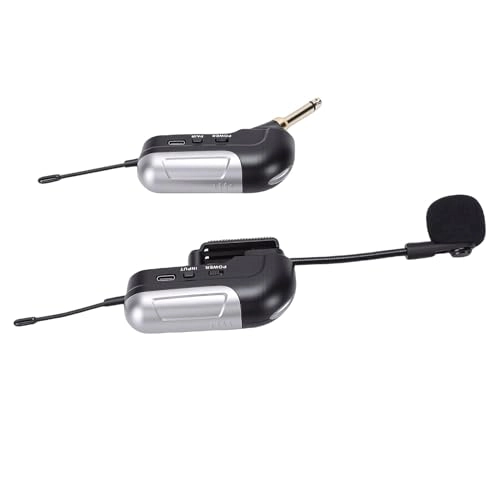 Accordion Microphone - 1