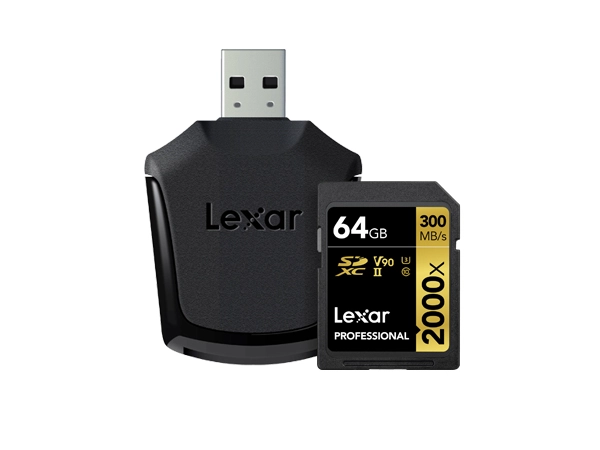 Professional 2000x - 64 GB