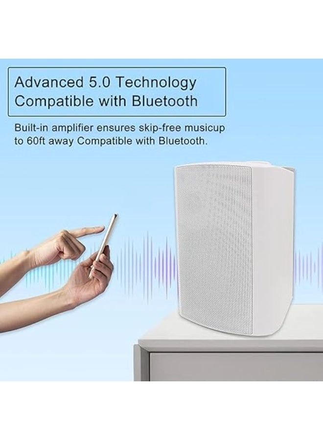 Outdoor Speakers - 300W