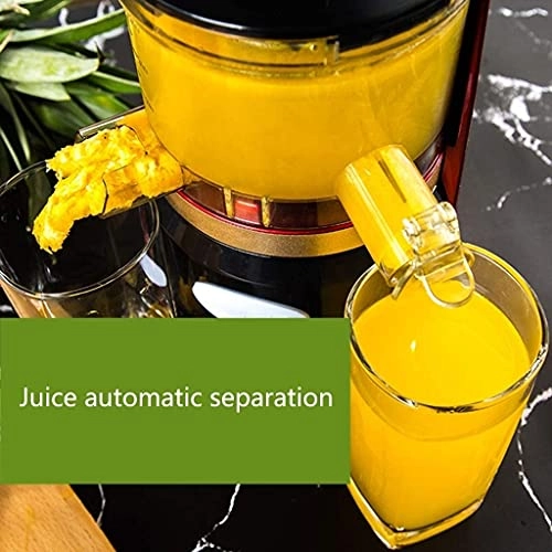 Juicer Extractor - 150W