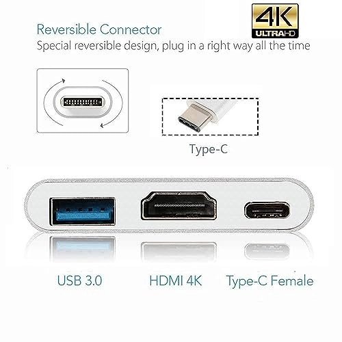 USB C to 3-in-1 HDMI Multiport Adapter