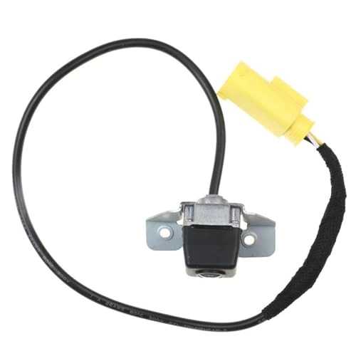 Reversing Camera - Night Vision