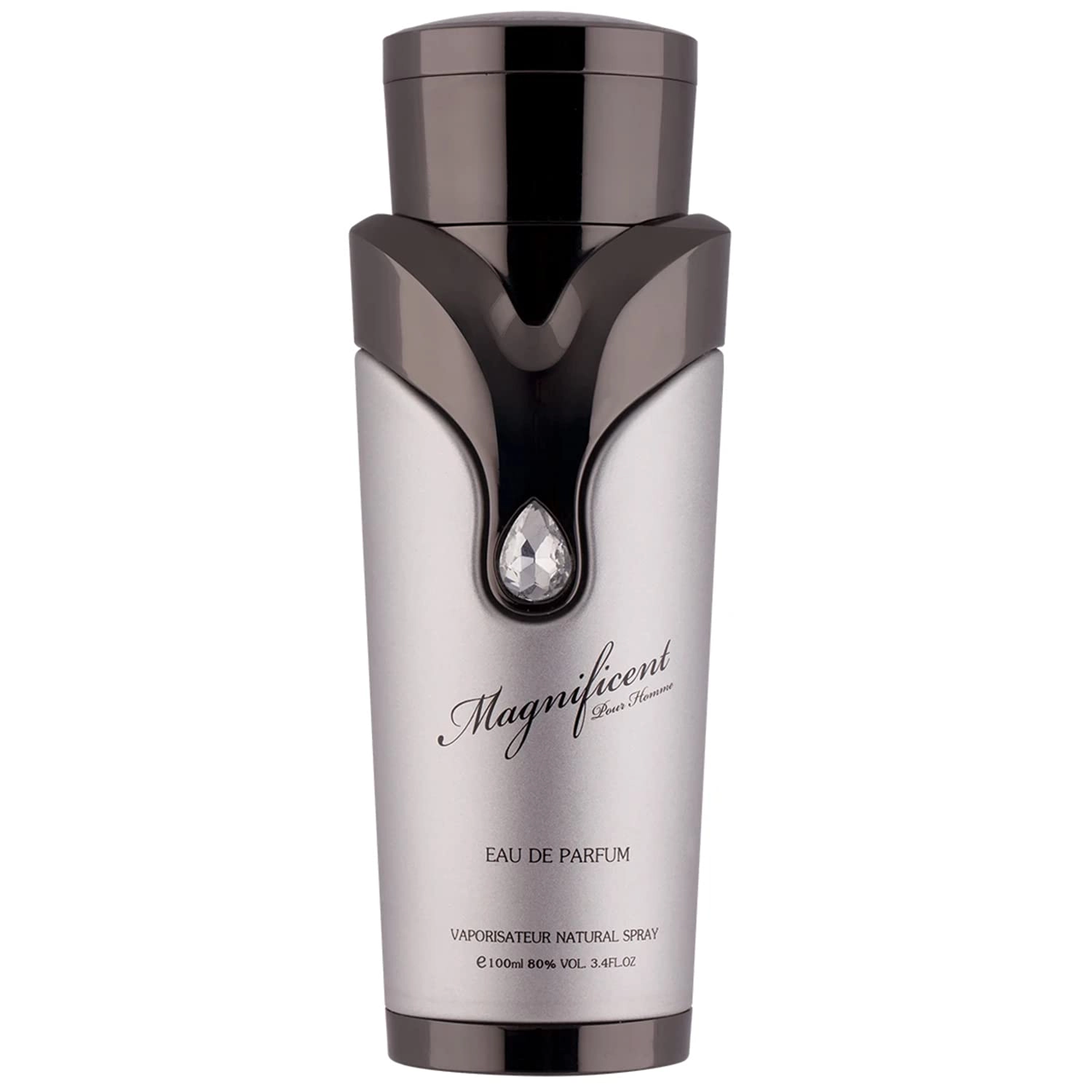 Sterling Perfumes Magnificent Pour Homme - Eau de Parfum 100ml