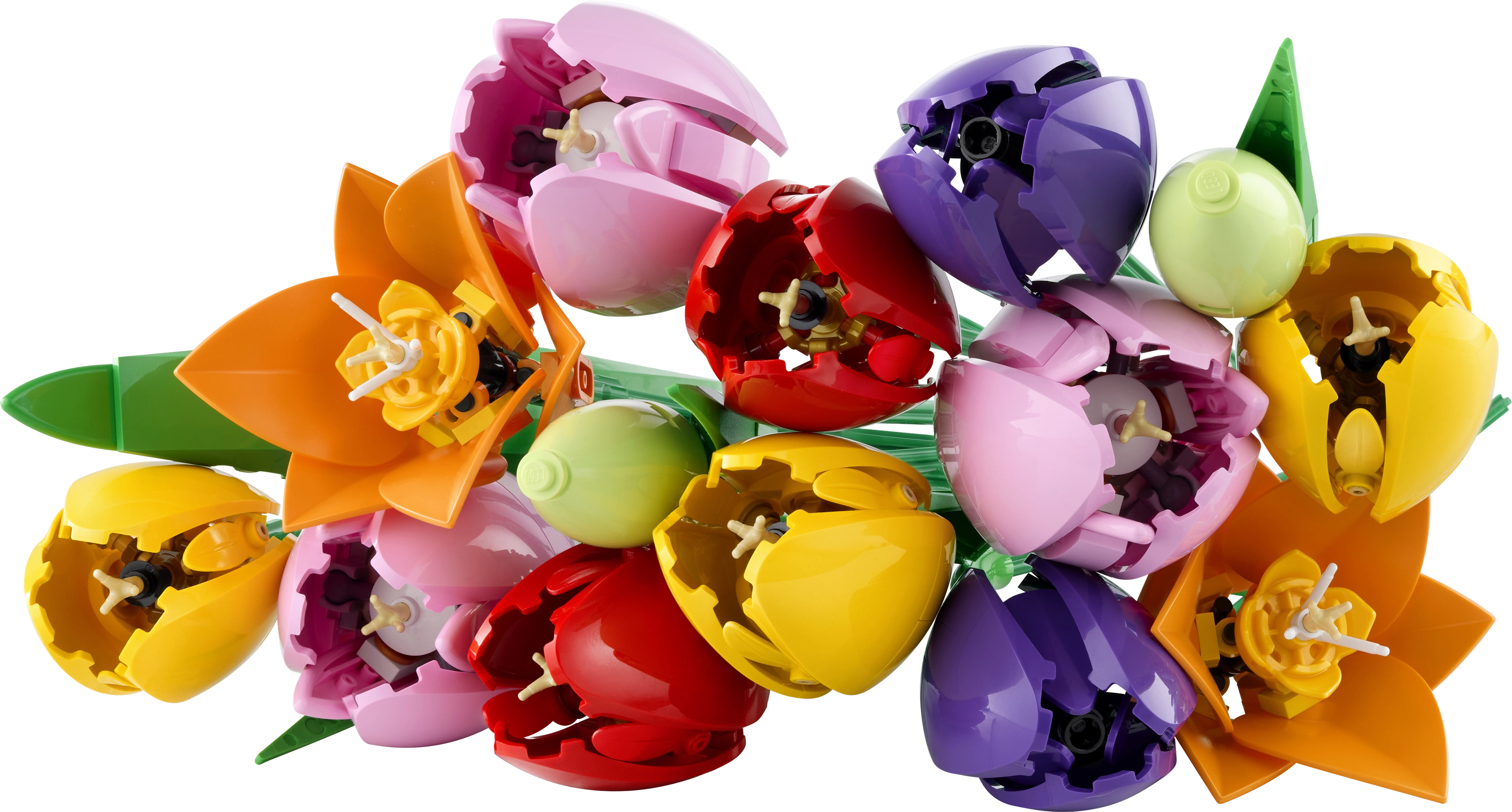 Tulip Bouquet - 576 pcs