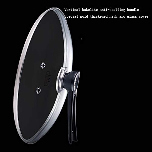 Electric Steamer - 27.5 Liters