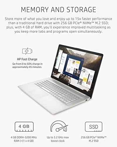 17-cp0020nr - 17.3'' Ryzen 3 4 GB DDR4 256 GB SSD