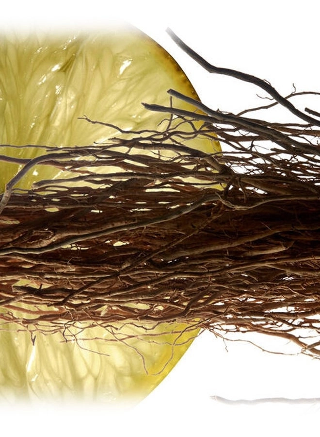 L'Homme Eau de Toilette 60ml