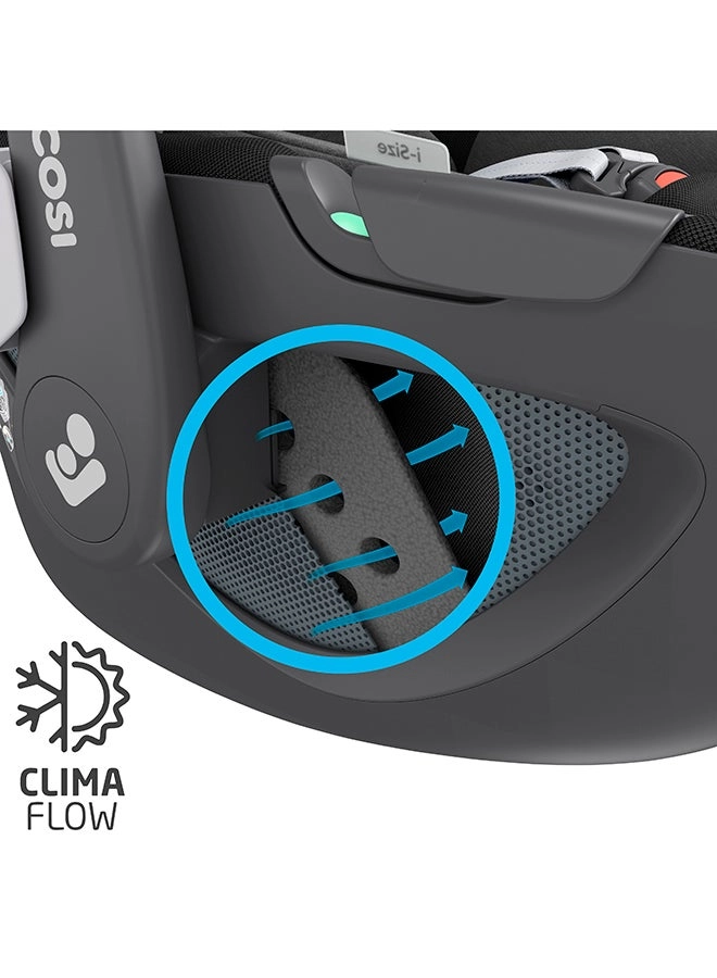 Pebble 360 - Group 0+ Seat Belt