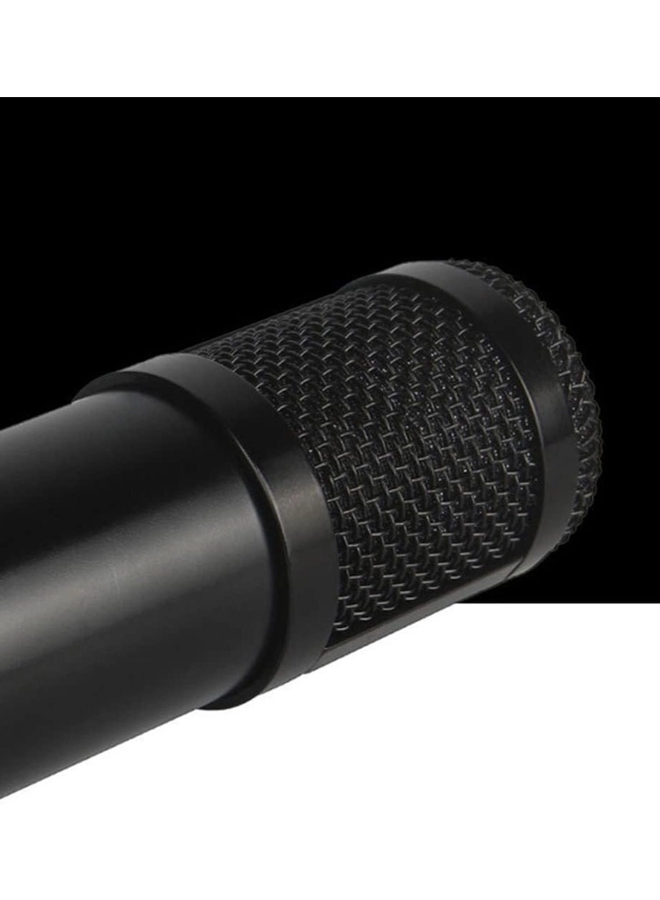 Live V9 + BM800 Wireless Microphone Kit