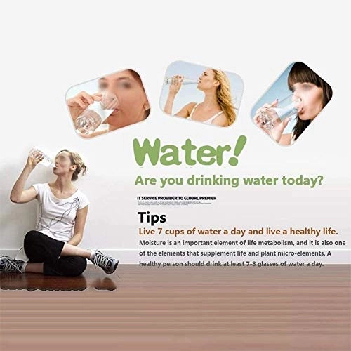 Whistling Kettle - stainless steel 5.0L