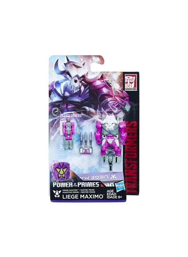 Generations Power Of The Primes - Liege Maximo