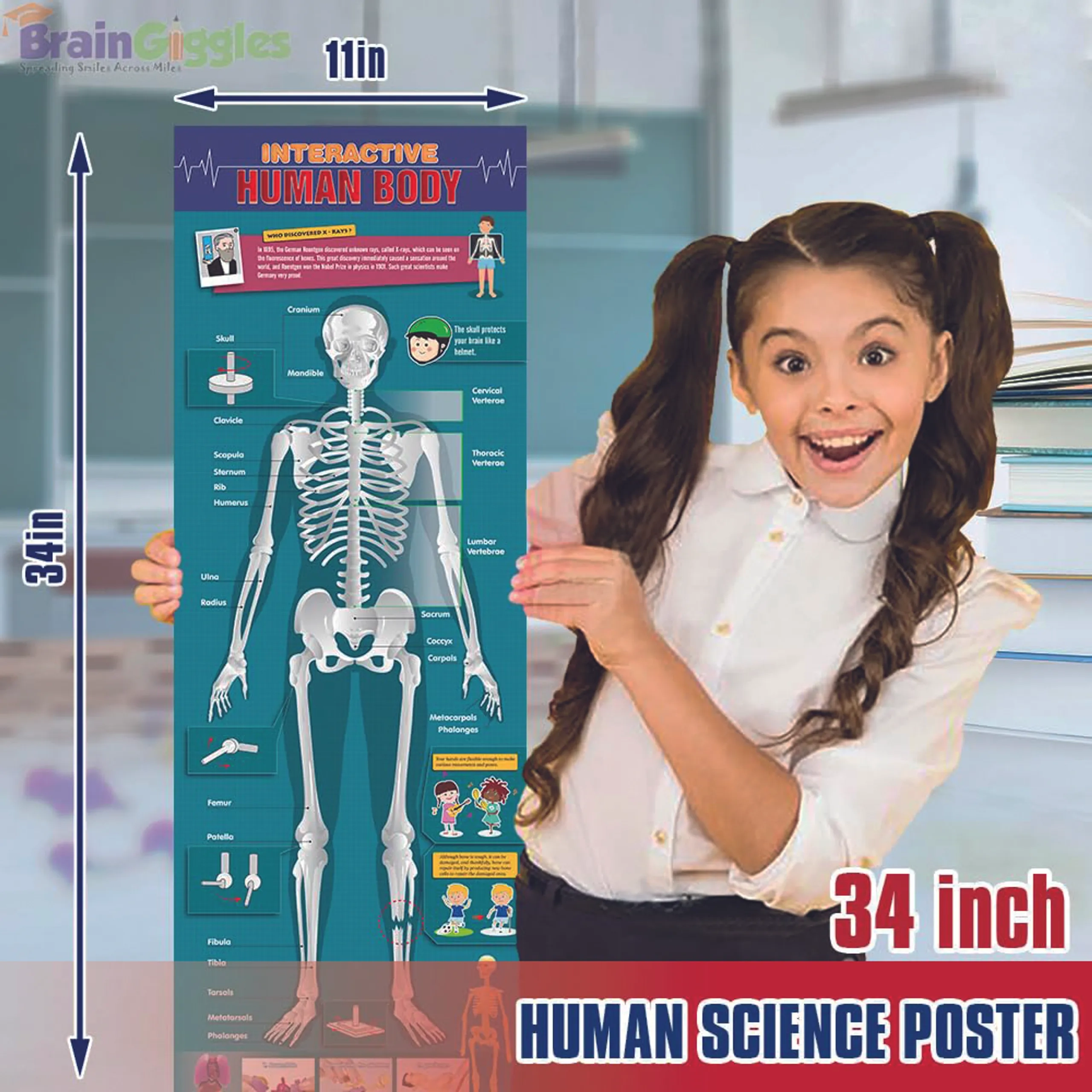 Brain Giggles Interactive Human Body - 6 years+