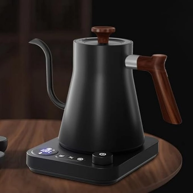 Temperature Control Gooseneck Electric Kettle