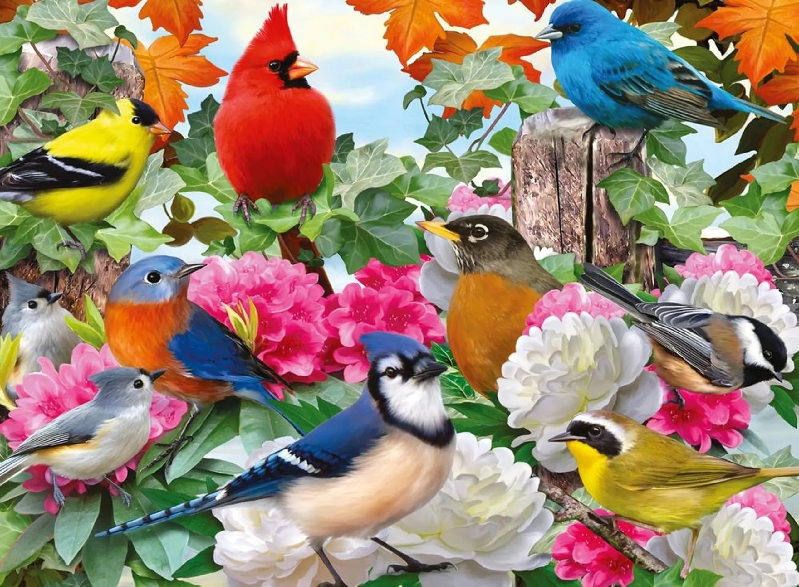 Garden Birds Puzzle (622-12000147_8) - 500 pcs