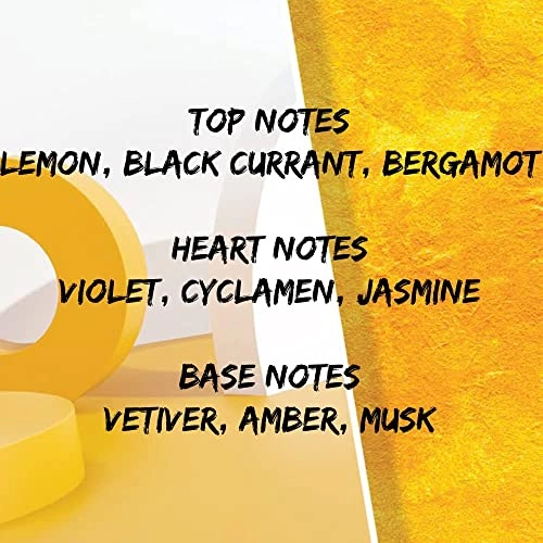 B'Afric Eau de Parfum 100ml