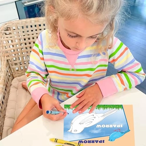 Birds Color & Clean Flash Cards - 36 months - 10 years 14 pieces