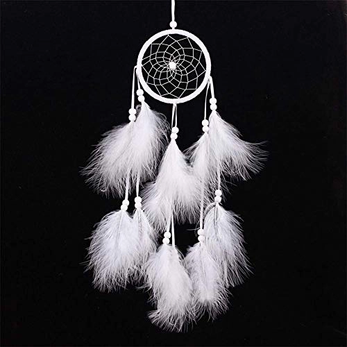 Dreamcatcher - Siderosphere, feathers, lines, wood beads.