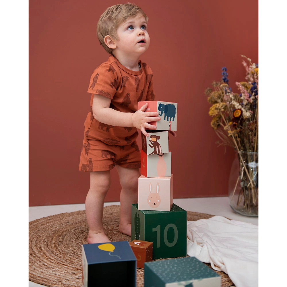 Stacking Blocks - Suitable for 12 months and above 10 pcs