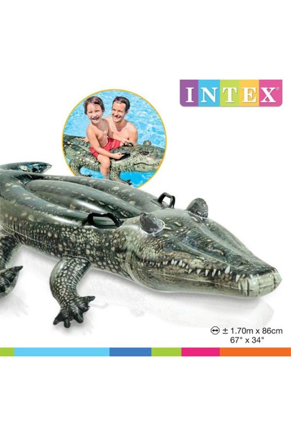 Realistic Gator Ride-On - Pool toy