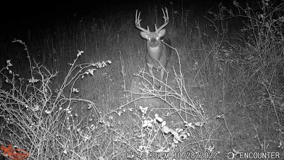 Scrapeline - 18 megapixel Bundle