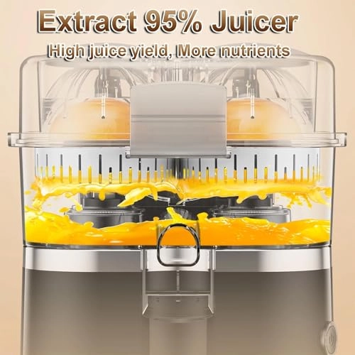 Electric Juicer Machine - 100W 500ml