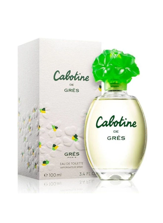 Perfume For Women Eau de Toilette 100ml