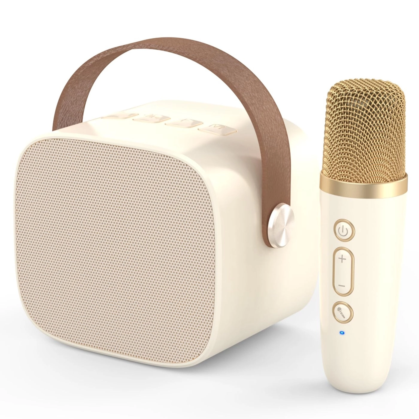 M1 - 1 Mic