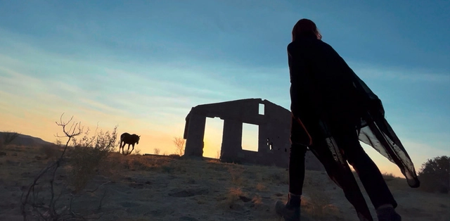 A new pro video experience. Only on iPhone.