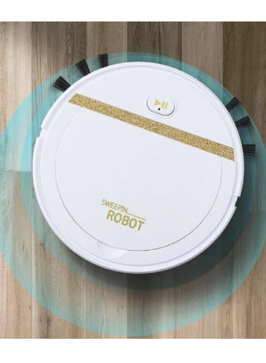 Cleaning Robot