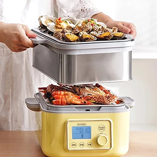Fold Electric Steamer - 18.8L