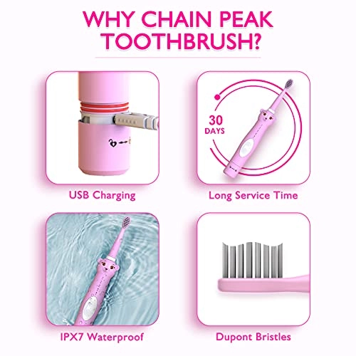 Kids Sonic Electric Toothbrush - Rechargeable 6 Brush Heads 2 Min Timer