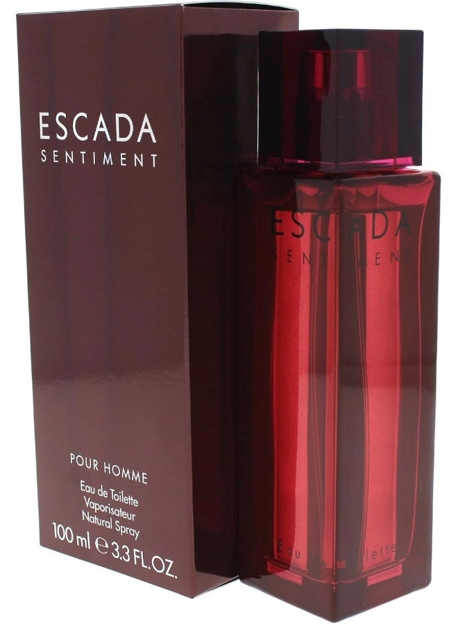 Sentiment Eau de Toilette 100ml